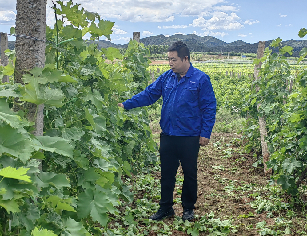 九州酷游(酷游·ku游)官方网站